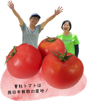 夏秋トマトは、西日本有数の産地！
