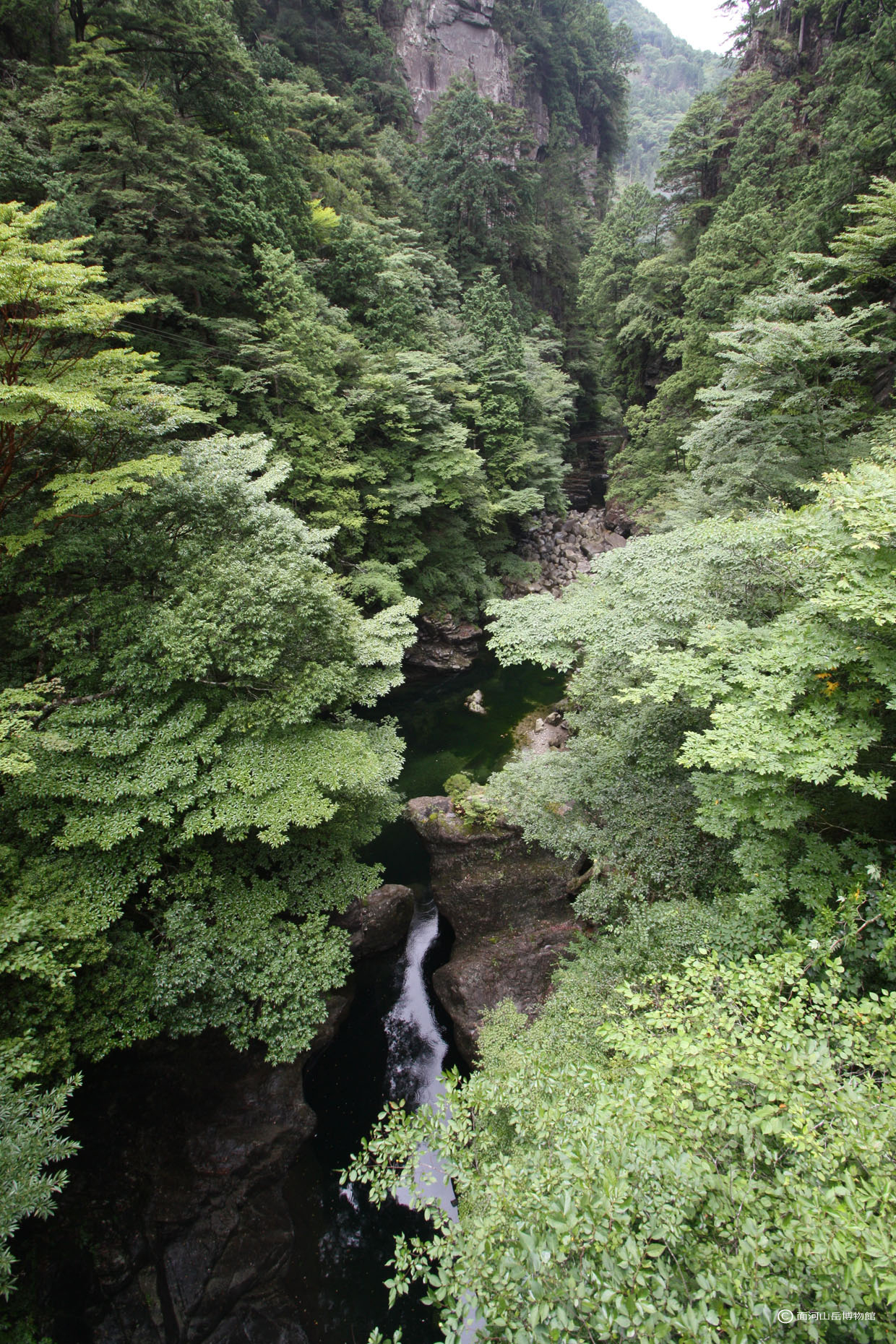 晩夏の関門の画像