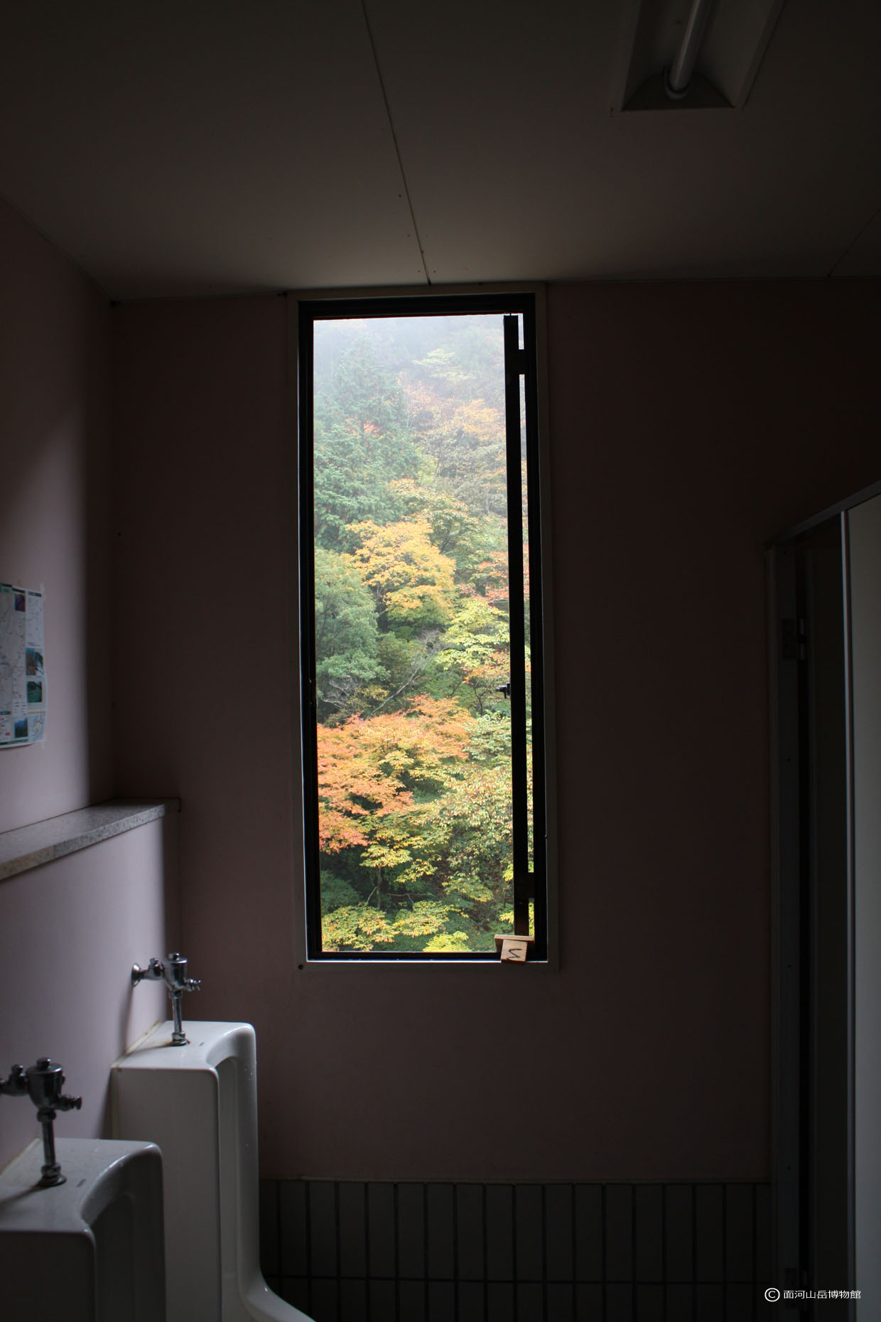 博物館トイレからの紅葉の画像