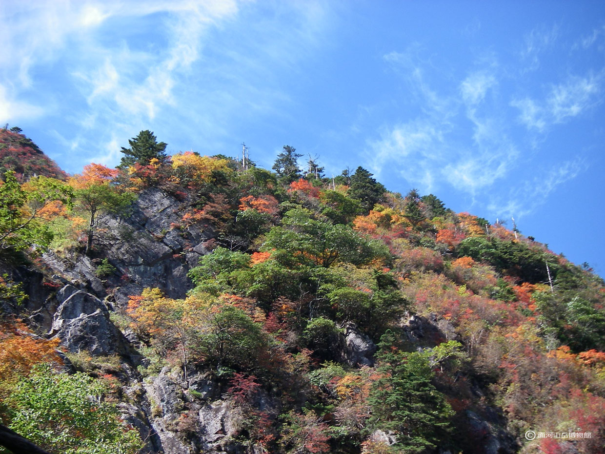石鎚山北壁の紅葉の画像