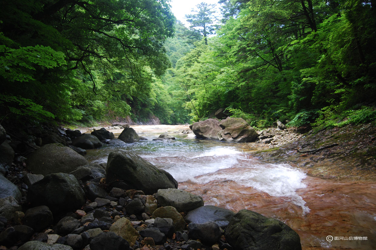 赤石河原の画像