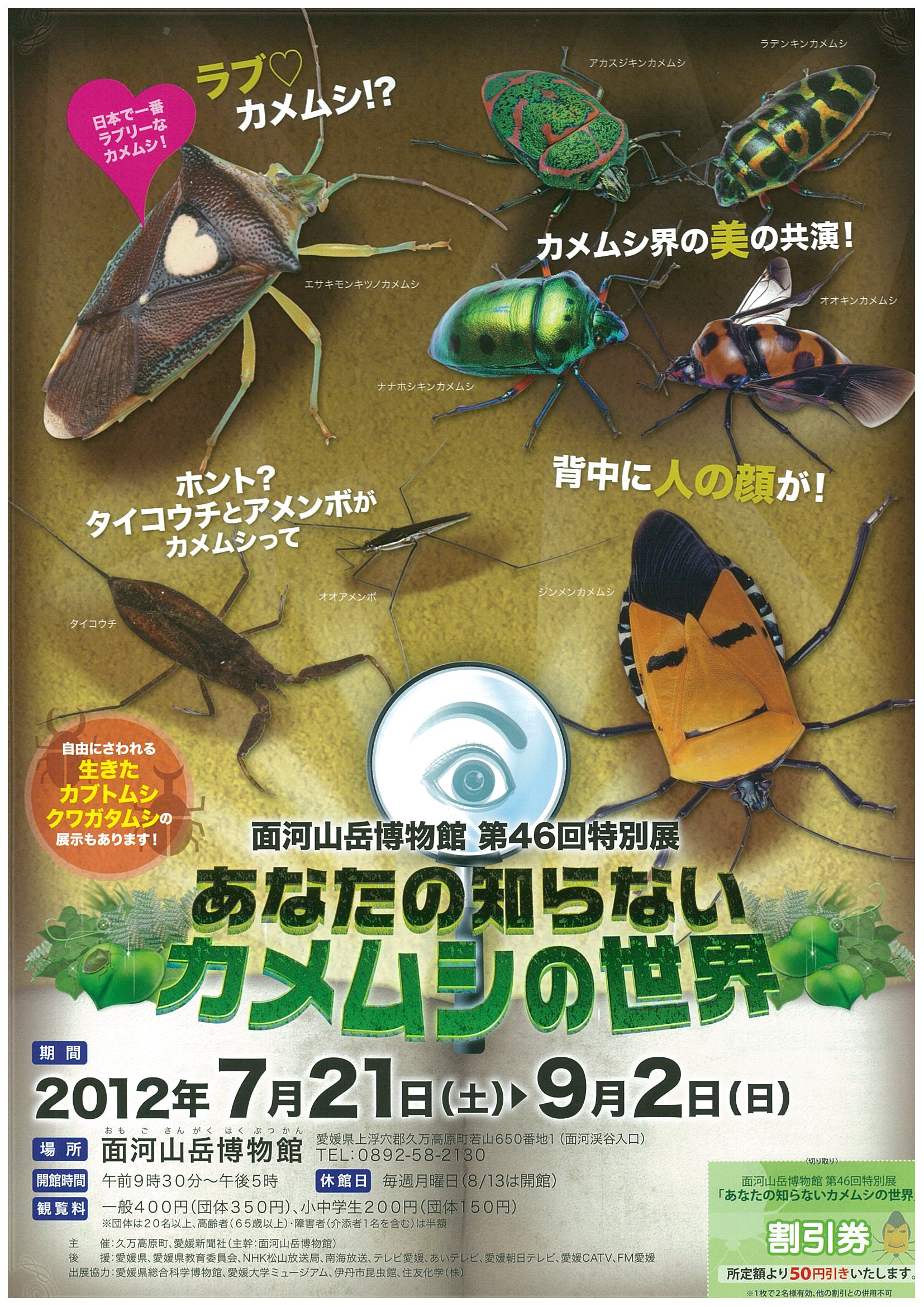 第46回特別展「あなたの知らないカメムシの世界」の画像