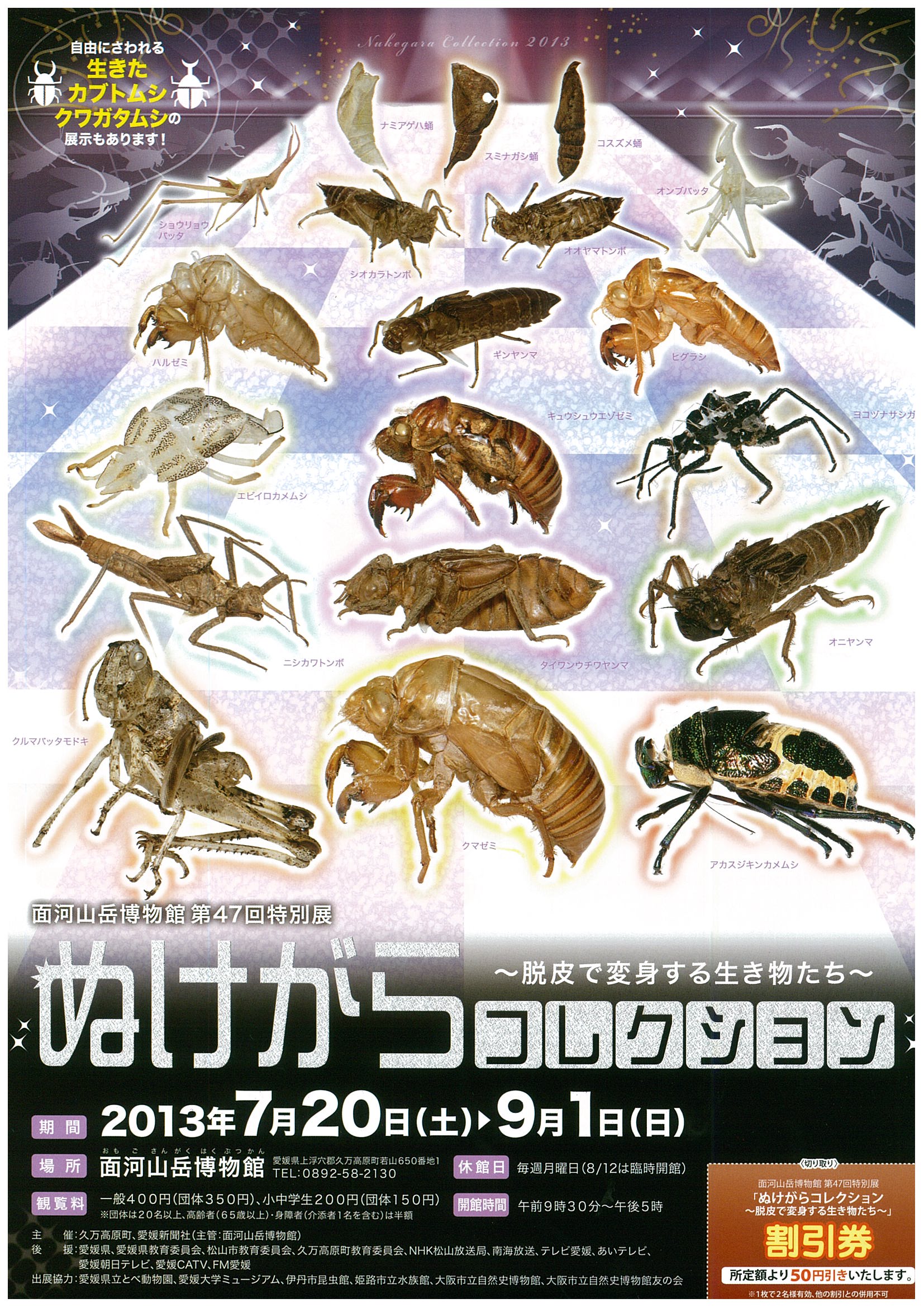 第47回特別展「ぬけがらコレクション」の画像