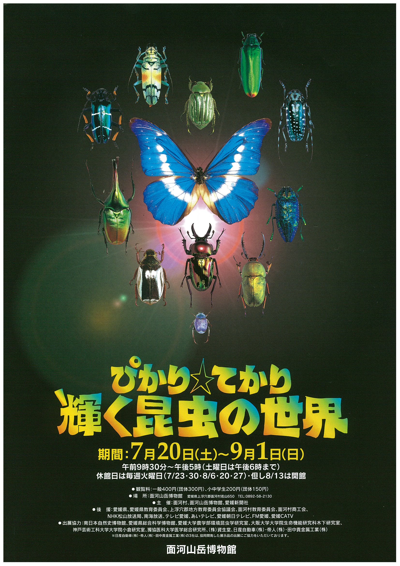 ぴかり・てかり輝く昆虫の世界の画像