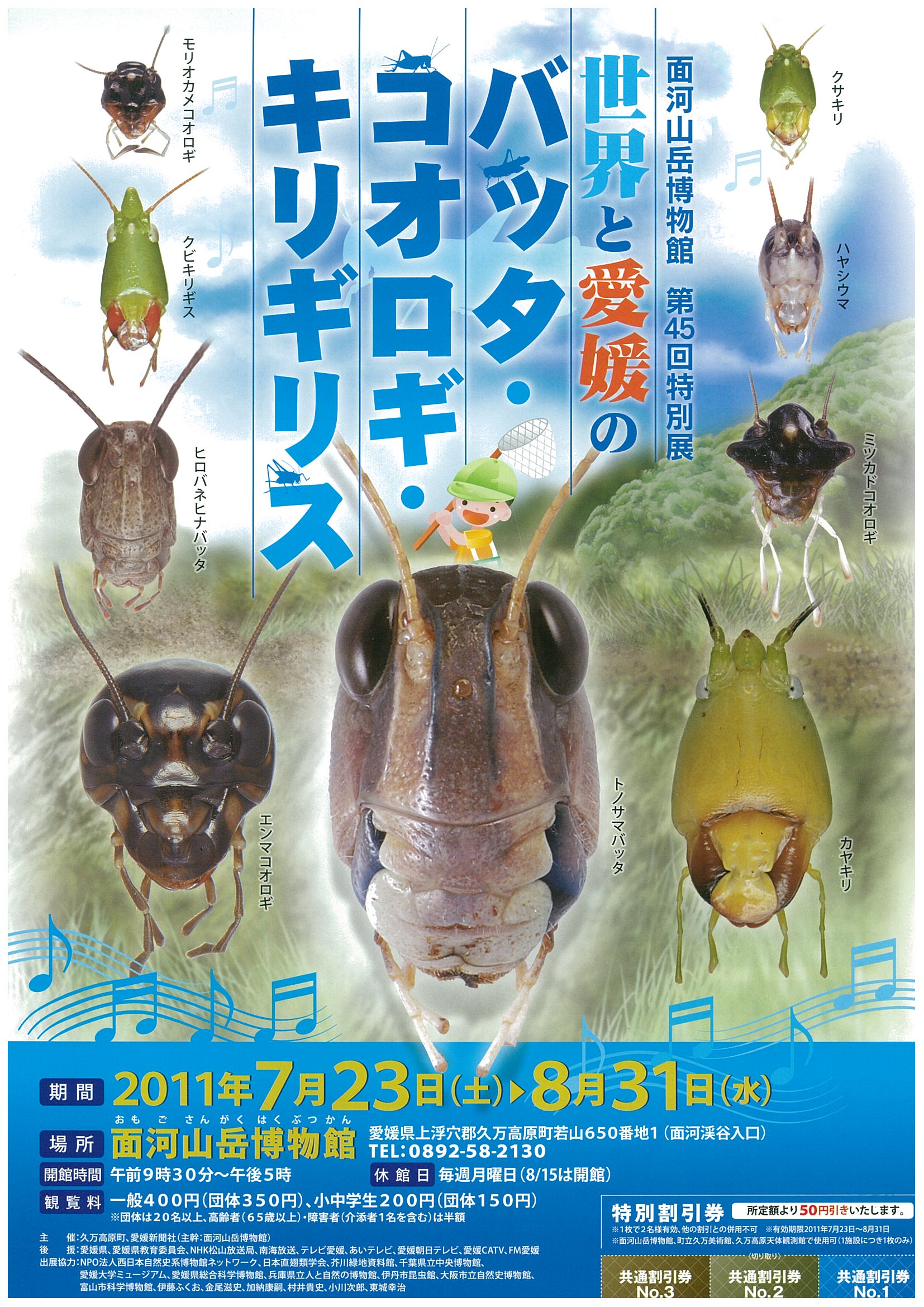 第45回特別展「世界と愛媛のバッタ・コオロギ・キリギリス」の画像