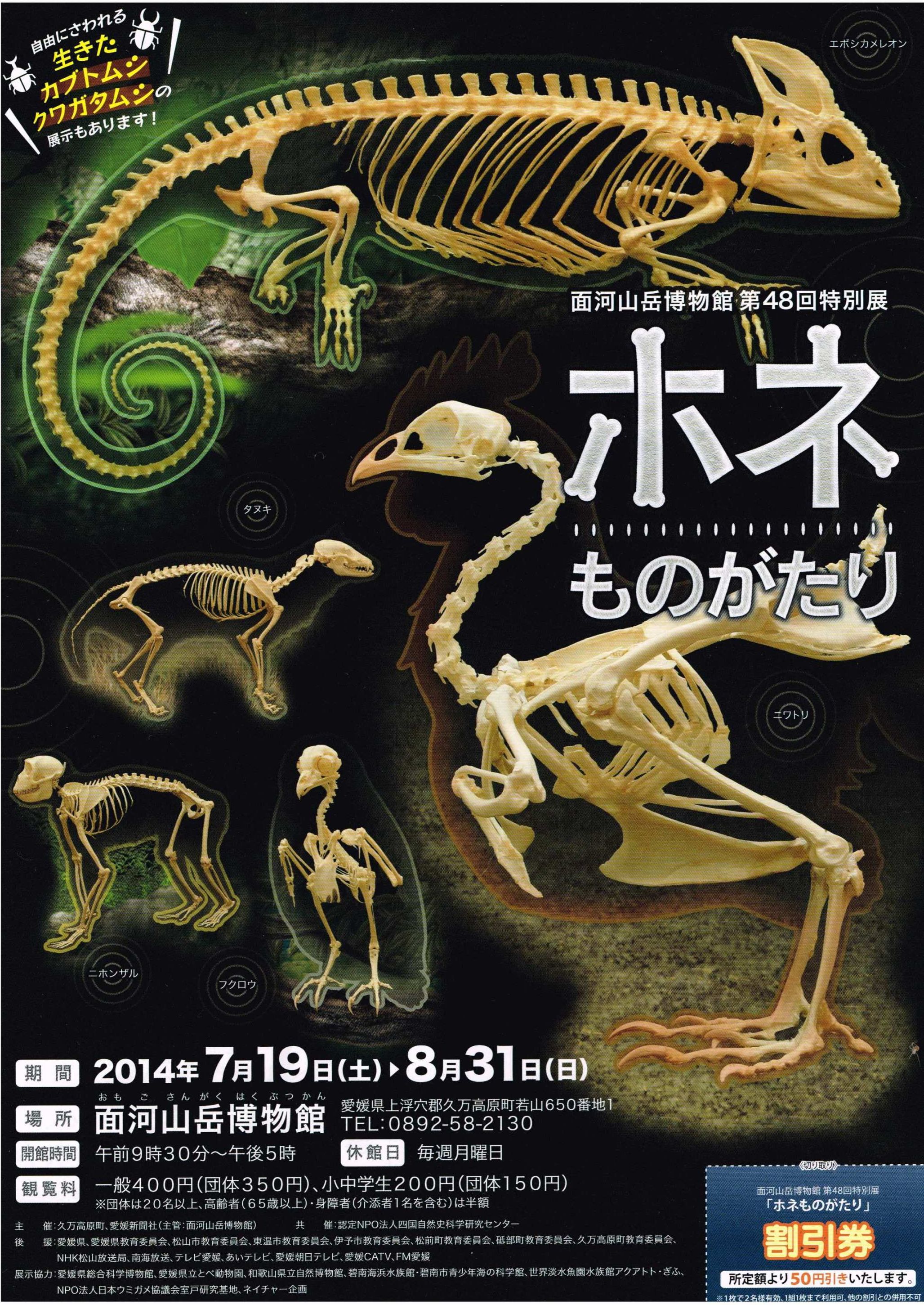第48回特別展「ホネものがたり」の画像