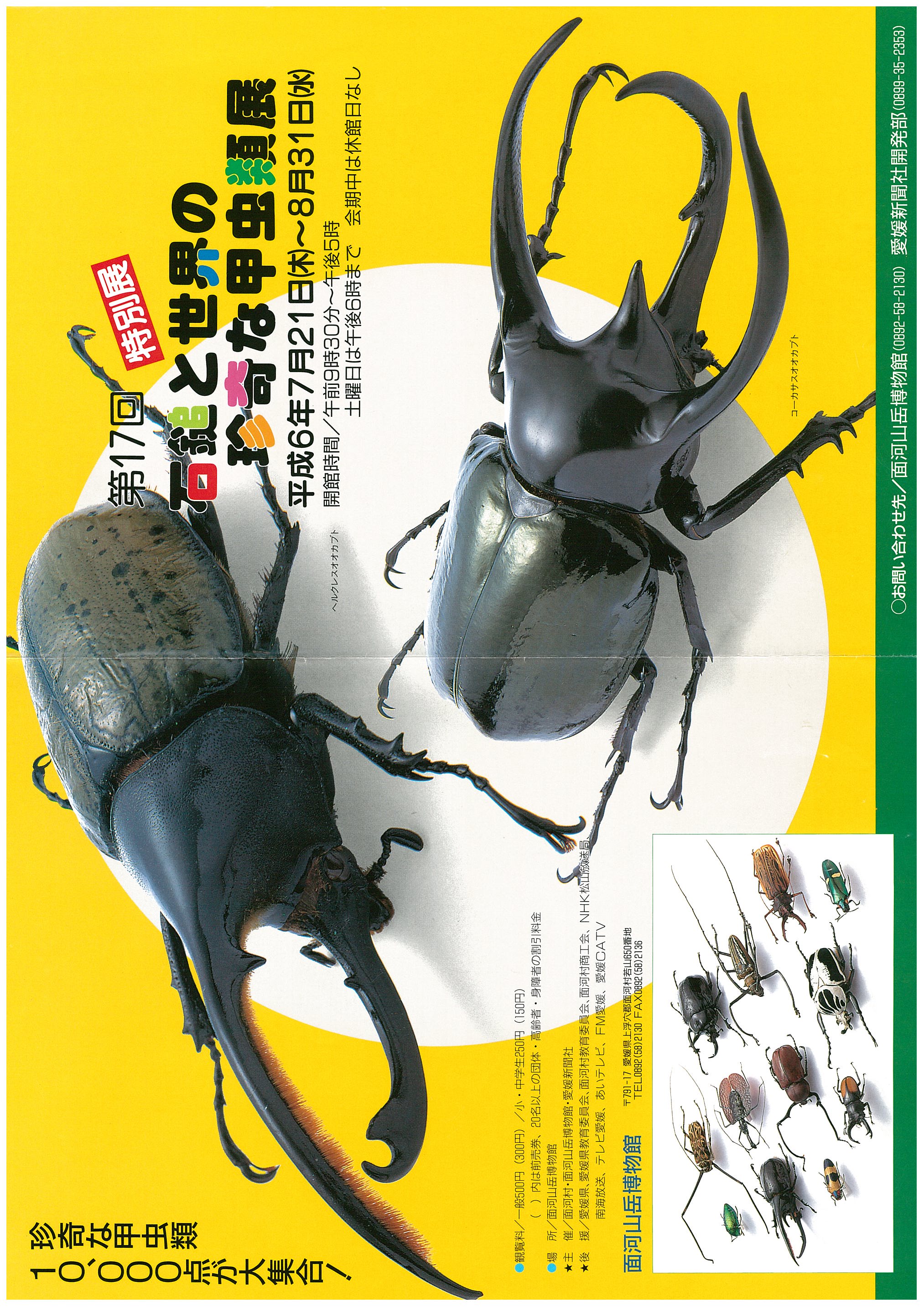 第17回特別展「石鎚と世界の珍奇な甲虫類展」の画像