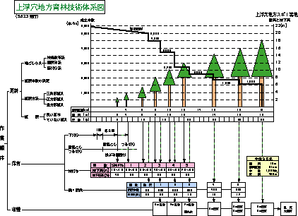 上浮穴地方育林技術体系図