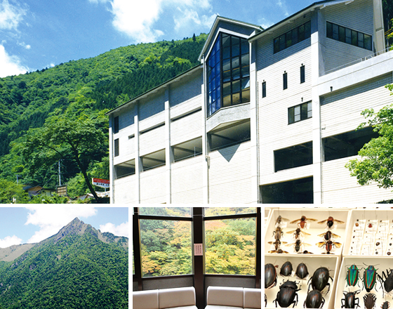 面河山岳博物館の写真