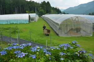 天野さん圃場