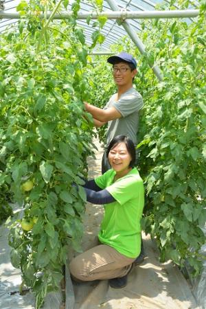 上村さん夫妻作業