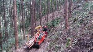 写真1：運搬車での木材搬出作業