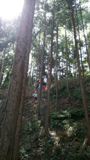 写真2：現場は急峻で複雑な地形