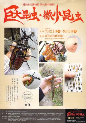 第51回特別展「巨大昆虫・微小昆虫」チラシ表