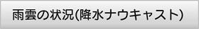 雨雲の状況(降水ナウキャスト)