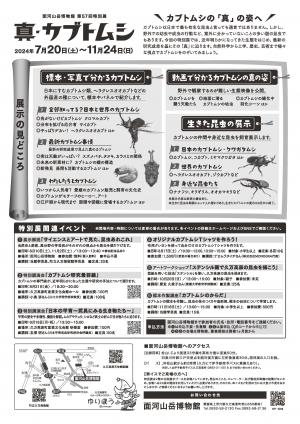 チラシ裏