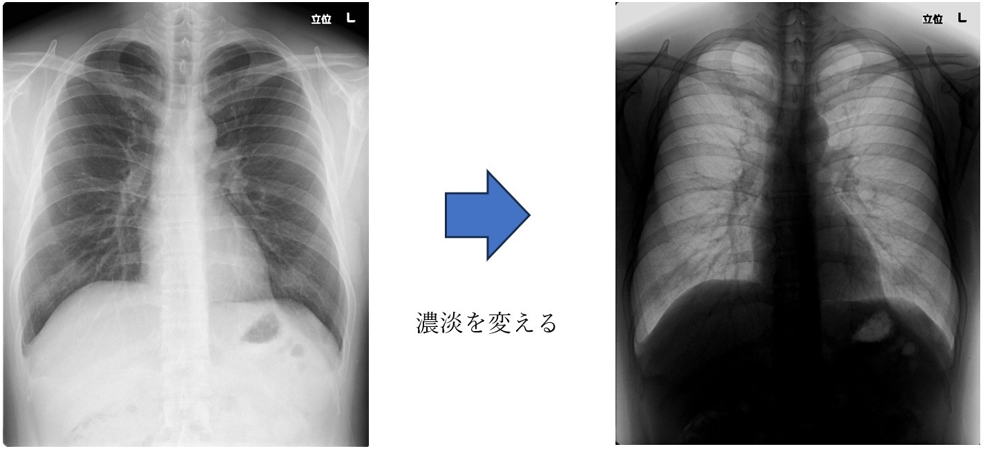 CR濃淡の写真