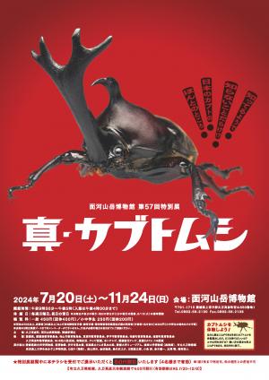 チラシ