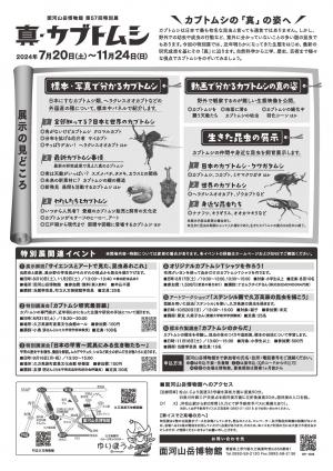 チラシ裏