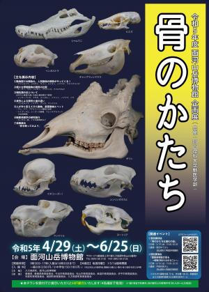 チラシ