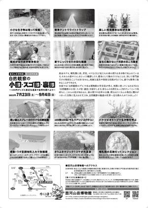 チラシ裏