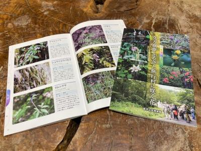 「旅行村に咲く花」