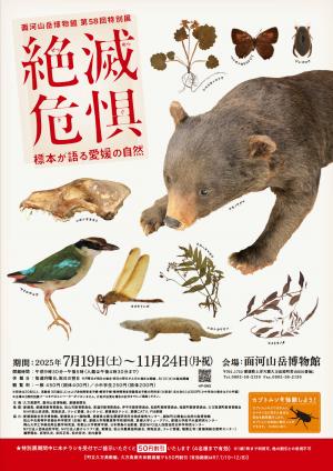 絶滅危惧　標本が語る愛媛の自然チラシ表