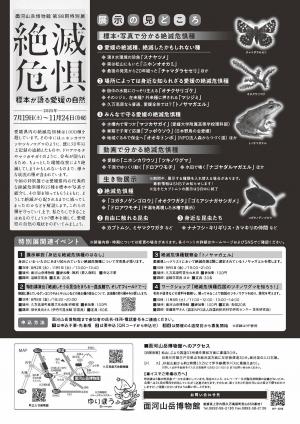 絶滅危惧　標本が語る愛媛の自然チラシ裏