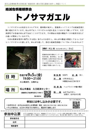 チラシ