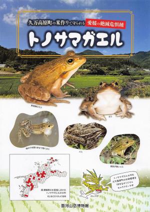 パンフレット１ページ