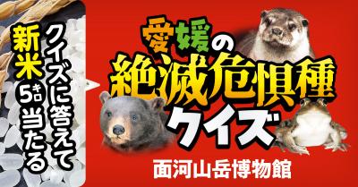 愛媛の絶滅危惧種クイズ