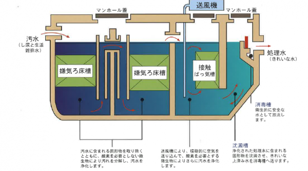 浄化槽仕組み
