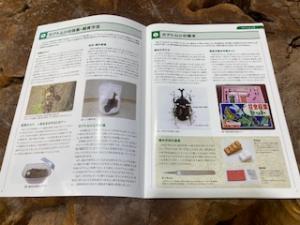 真・カブトムシ見開きページ