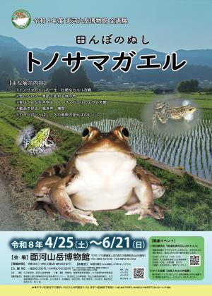 田んぼのぬし　トノサマガエル