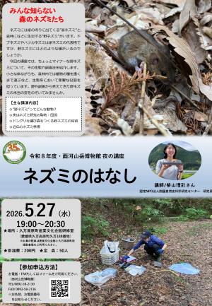 チラシ