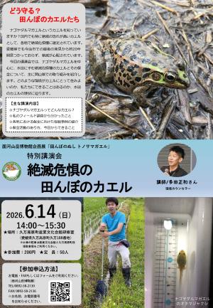 チラシ