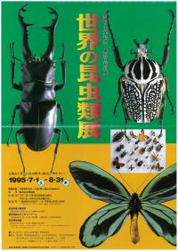 第22回特別展チラシ