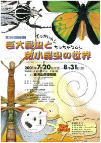 第36回特別展チラシ