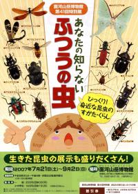 第41回特別展チラシ