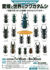 第43回特別展チラシ