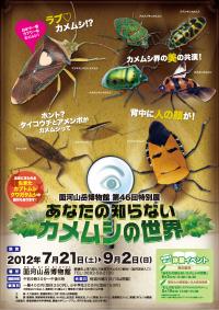 第46回特別展チラシ