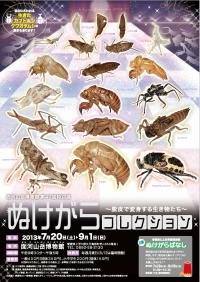 第47回特別展チラシ