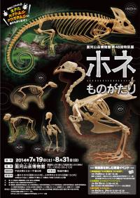 第48回特別展チラシ