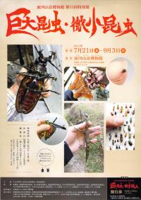 第51回特別展チラシ
