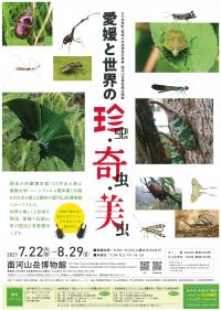第55回特別展チラシ