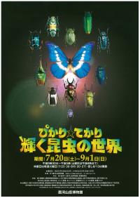 第37回特別展チラシ