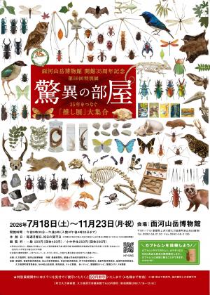 面河山岳博物館 第59回特別展「驚異の部屋『35年をつなぐ『推し展』大集合｝