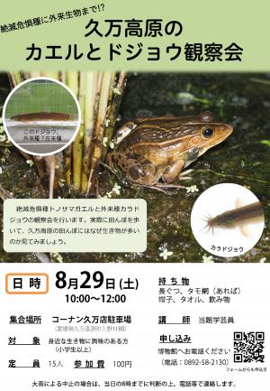 チラシ
