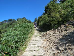 登山道の様子