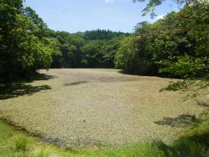 赤蔵ヶ池の様子